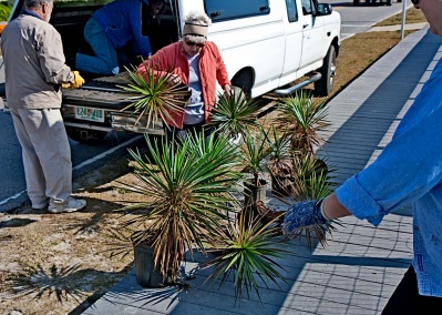 The Plants Arrive