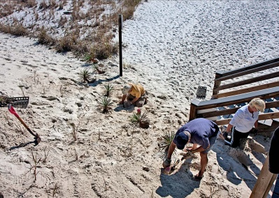 Working Down The Dune