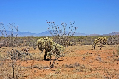 Arizona High Desert