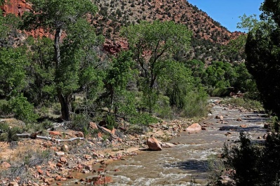 Zion National Park