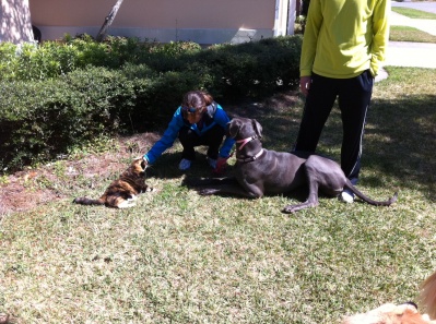 Bella and Eartha Greet Each Other