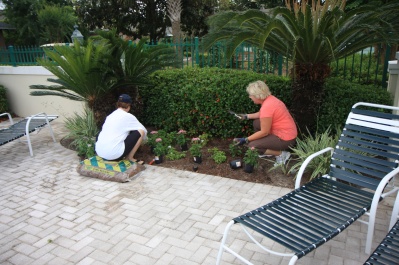 Green Thumb Gals